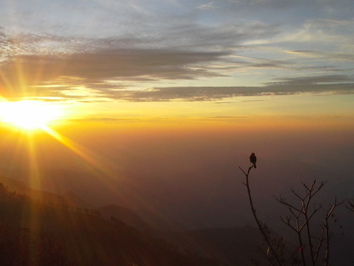 RENTREE SEPTEMBRE 2022