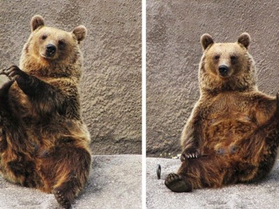 VACANCES de NOËL du 18 décembre au 8&nbsp;janvier